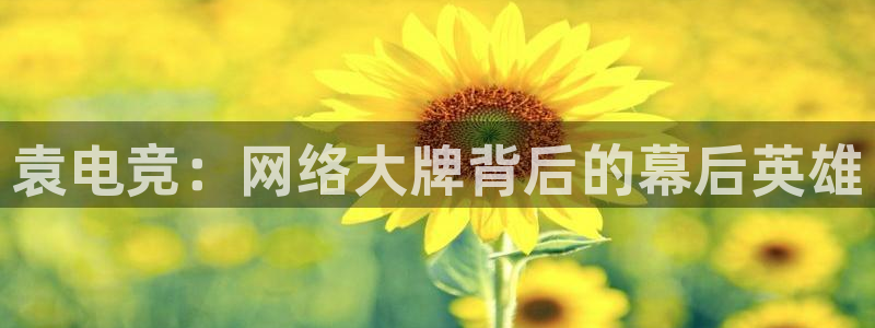 易游电竞淮阴区：袁电竞：网络大牌背后的幕后英雄