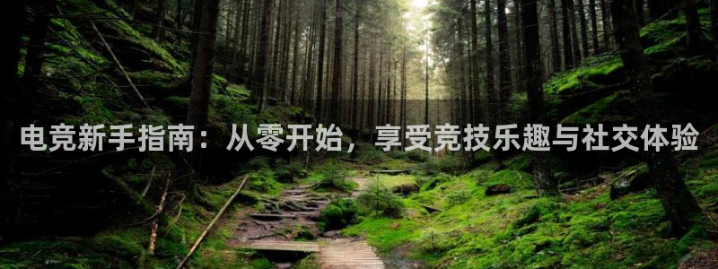 易游电竞王者荣耀大赛：电竞新手指南：从零开始，享受竞技乐趣与社交体验