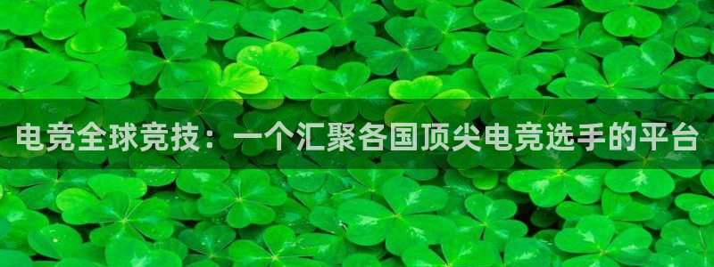 易游电竞网咖：电竞全球竞技：一个汇聚各国顶尖电竞选手的平台