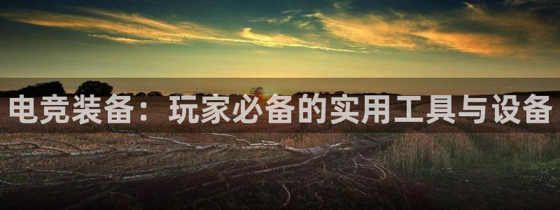 易游电竞淮阴区：电竞装备：玩家必备的实用工具与设备