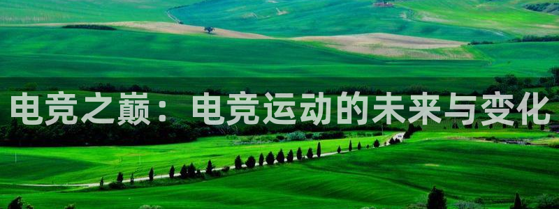 易游电竞中国区：电竞之巅：电竞运动的未来与变化