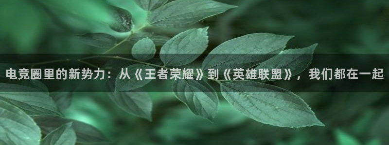易游电竞：电竞圈里的新势力：从《王者荣耀》到《英雄联盟》，我们都在一起