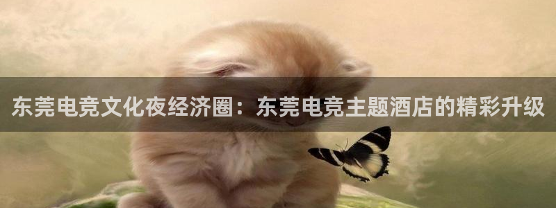 易游电竞淮阴区：东莞电竞文化夜经济圈：东莞电竞主题酒店的精彩升级