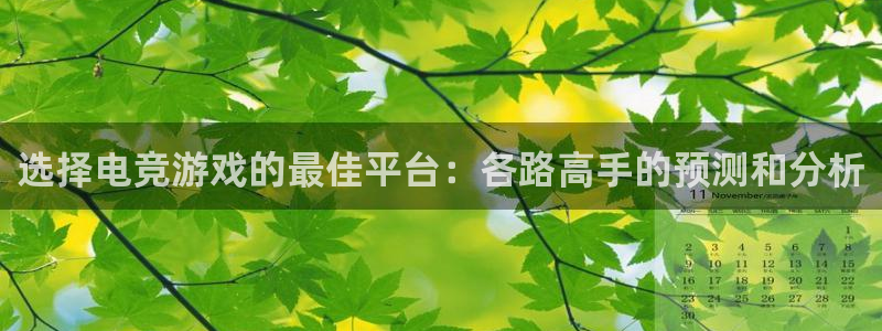 易游电竞赛事直播：选择电竞游戏的最佳平台：各路高手的预测和分析