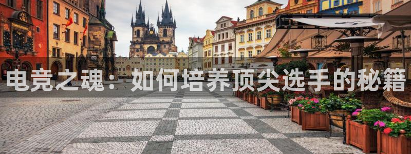 易游电竞CSGO解说：电竞之魂：如何培养顶尖选手的秘籍