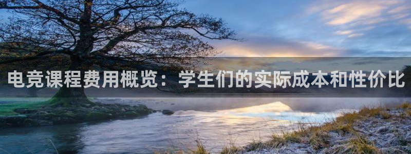 易游电竞网咖：电竞课程费用概览：学生们的实际成本和性价比
