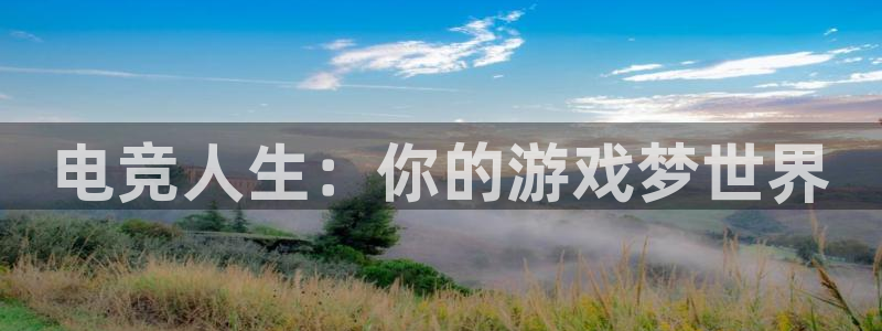 易游电竞：电竞人生：你的游戏梦世界