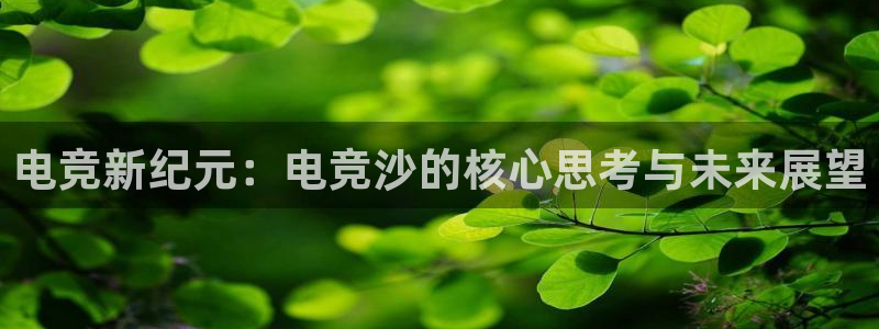 易游电竞平台：电竞新纪元：电竞沙的核心思考与未来展望